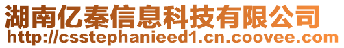 湖南億秦信息科技有限公司