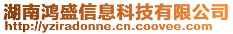 湖南鴻盛信息科技有限公司
