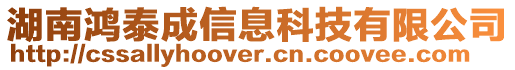 湖南鴻泰成信息科技有限公司