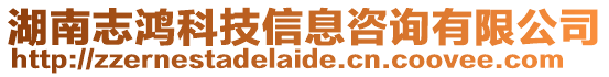 湖南志鴻科技信息咨詢有限公司