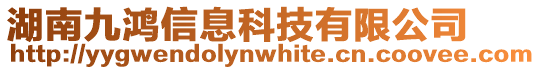 湖南九鴻信息科技有限公司