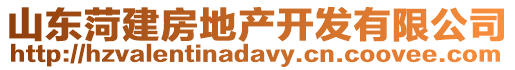山東菏建房地產開發有限公司