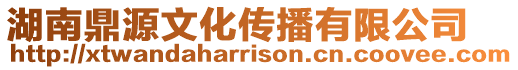 湖南鼎源文化傳播有限公司