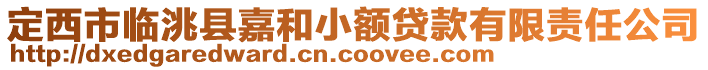 定西市臨洮縣嘉和小額貸款有限責任公司