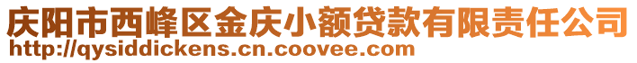 慶陽市西峰區金慶小額貸款有限責任公司