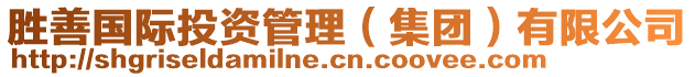 勝善國際投資管理（集團(tuán)）有限公司