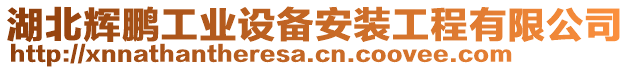 湖北輝鵬工業(yè)設備安裝工程有限公司