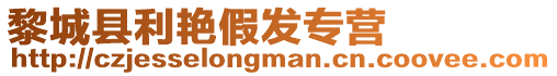 黎城縣利艷假發(fā)專營