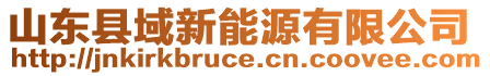 山東縣域新能源有限公司