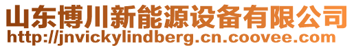 山東博川新能源設(shè)備有限公司