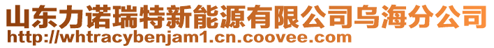 山東力諾瑞特新能源有限公司烏海分公司