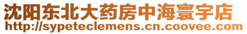 沈陽東北大藥房中海寰宇店