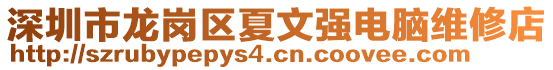 深圳市龍崗區夏文強電腦維修店