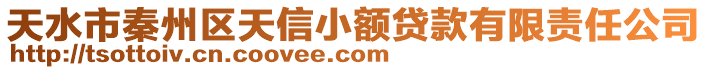 天水市秦州區天信小額貸款有限責任公司