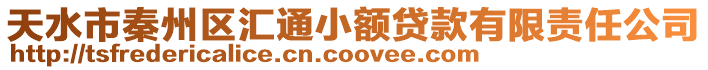 天水市秦州區(qū)匯通小額貸款有限責任公司