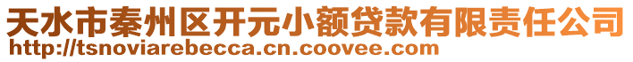 天水市秦州區(qū)開元小額貸款有限責(zé)任公司