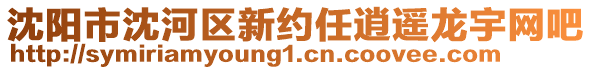 沈陽市沈河區新約任逍遙龍宇網吧