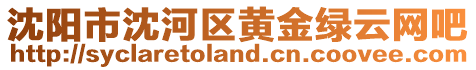 沈陽市沈河區黃金綠云網吧