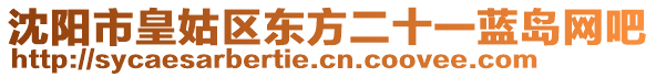 沈陽市皇姑區(qū)東方二十一藍(lán)島網(wǎng)吧