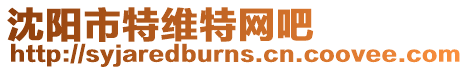 沈陽市特維特網吧
