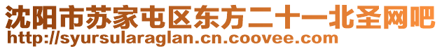 沈陽市蘇家屯區(qū)東方二十一北圣網(wǎng)吧