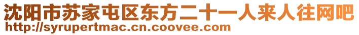 沈陽市蘇家屯區東方二十一人來人往網吧