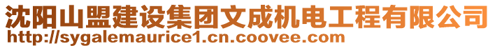 沈陽山盟建設(shè)集團文成機電工程有限公司