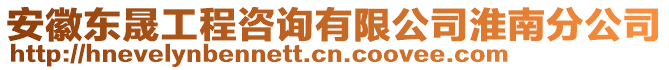 安徽東晟工程咨詢有限公司淮南分公司