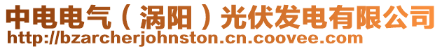 中電電氣(渦陽)光伏發電有限公司