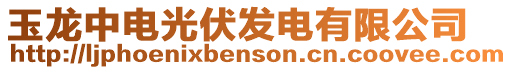 玉龍中電光伏發電有限公司