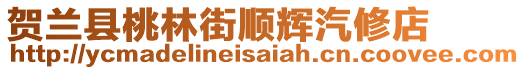 賀蘭縣桃林街順輝汽修店
