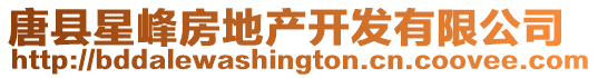 唐縣星峰房地產開發有限公司