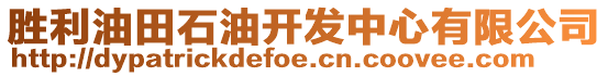 勝利油田石油開發(fā)中心有限公司