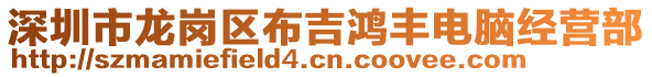 深圳市龍崗區布吉鴻豐電腦經營部