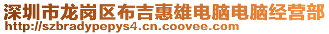 深圳市龍崗區布吉惠雄電腦電腦經營部