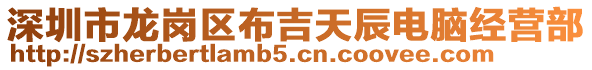 深圳市龍崗區布吉天辰電腦經營部