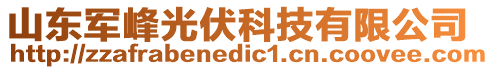 山東軍峰光伏科技有限公司