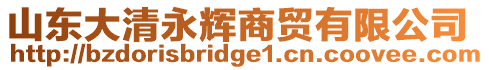 山東大清永輝商貿有限公司