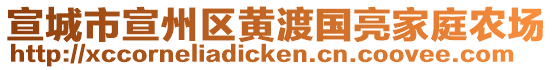 宣城市宣州區(qū)黃渡國(guó)亮家庭農(nóng)場(chǎng)