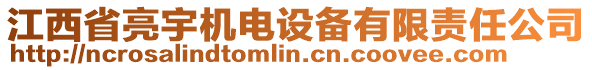 江西省亮宇機電設備有限責任公司
