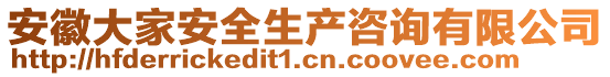 安徽大家安全生產咨詢有限公司