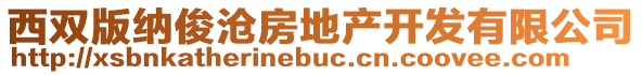 西雙版納俊滄房地產(chǎn)開(kāi)發(fā)有限公司