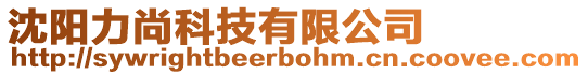 沈陽力尚科技有限公司