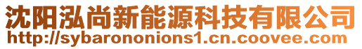 沈陽(yáng)泓尚新能源科技有限公司