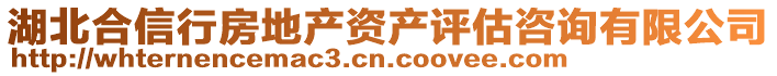 湖北合信行房地產(chǎn)資產(chǎn)評估咨詢有限公司