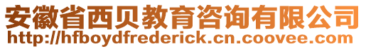 安徽省西貝教育咨詢有限公司