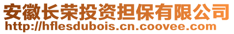 安徽長榮投資擔保有限公司