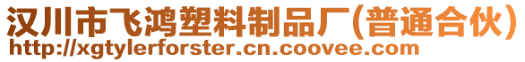 漢川市飛鴻塑料制品廠(普通合伙)