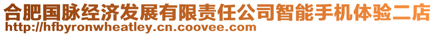 合肥國(guó)脈經(jīng)濟(jì)發(fā)展有限責(zé)任公司智能手機(jī)體驗(yàn)二店