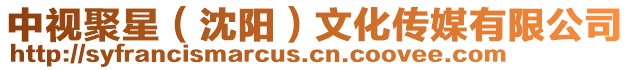 中視聚星（沈陽(yáng)）文化傳媒有限公司